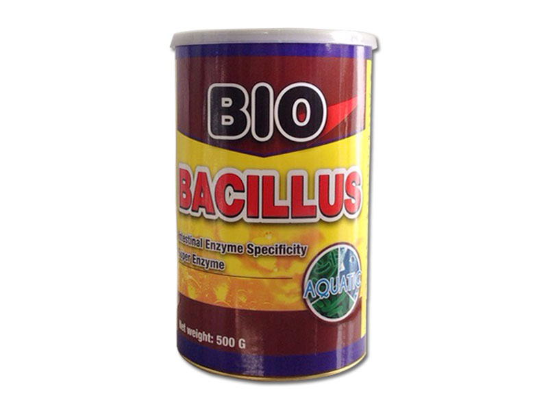 bio-bacillus